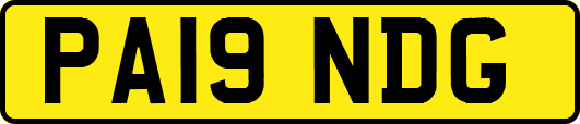 PA19NDG