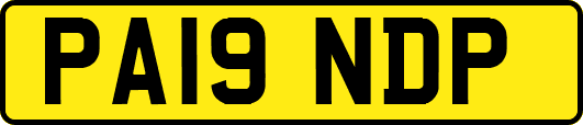 PA19NDP