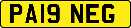 PA19NEG