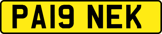 PA19NEK