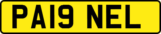 PA19NEL