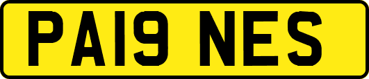 PA19NES