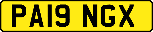 PA19NGX