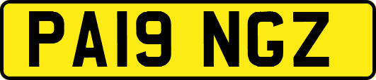PA19NGZ