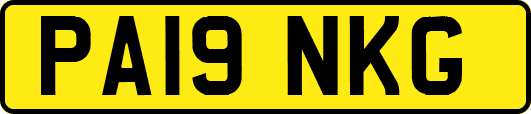 PA19NKG