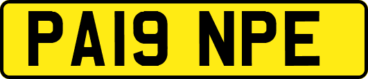 PA19NPE