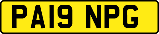 PA19NPG