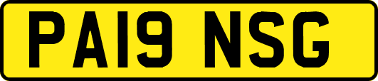 PA19NSG