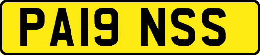 PA19NSS