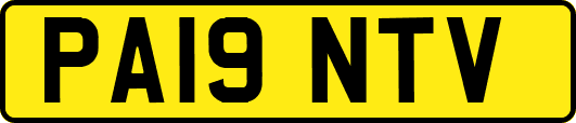 PA19NTV