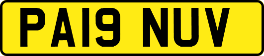 PA19NUV