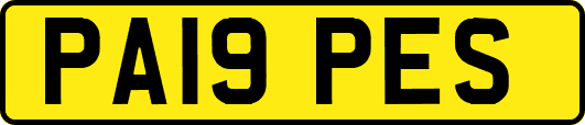 PA19PES