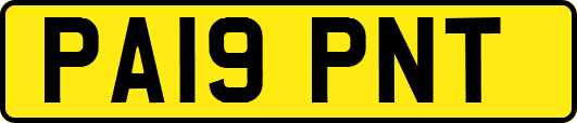PA19PNT