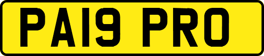 PA19PRO