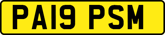PA19PSM