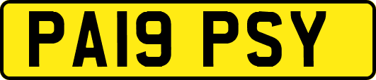 PA19PSY