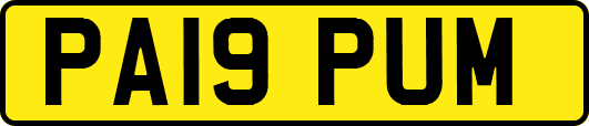 PA19PUM