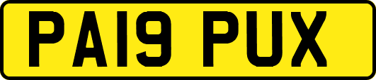 PA19PUX