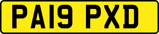 PA19PXD