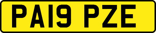 PA19PZE