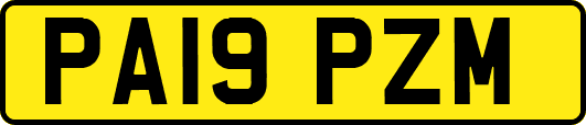 PA19PZM
