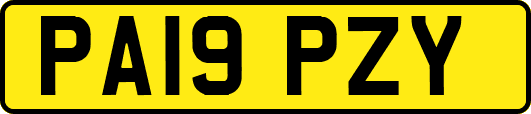 PA19PZY