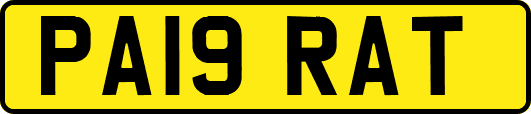 PA19RAT