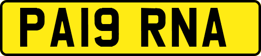 PA19RNA