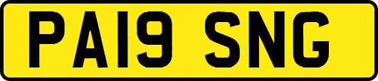 PA19SNG