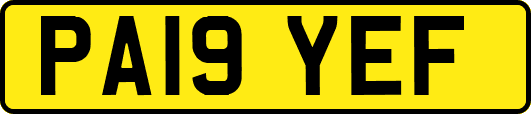 PA19YEF