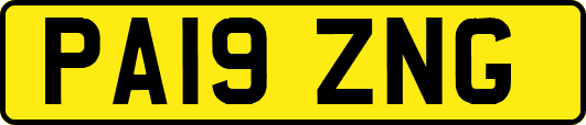 PA19ZNG