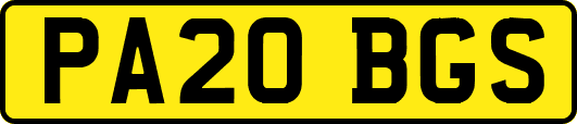 PA20BGS