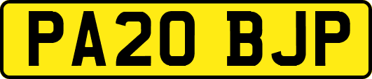 PA20BJP