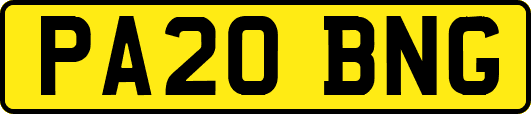PA20BNG