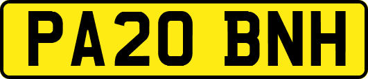 PA20BNH