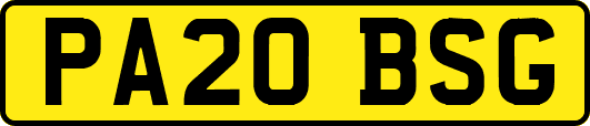 PA20BSG