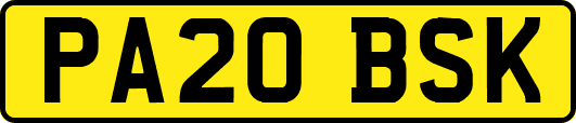 PA20BSK