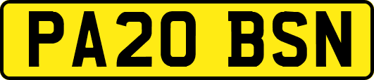 PA20BSN