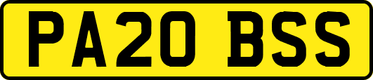 PA20BSS