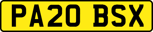 PA20BSX