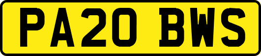 PA20BWS