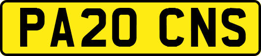 PA20CNS