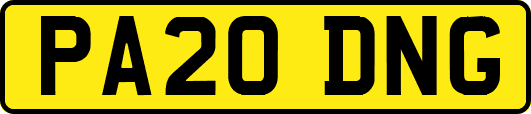 PA20DNG