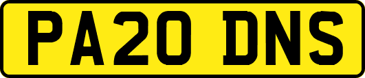 PA20DNS