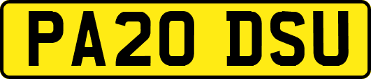 PA20DSU