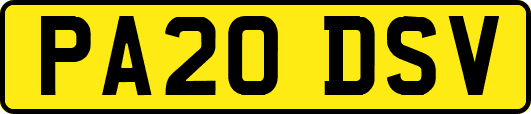 PA20DSV