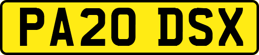 PA20DSX