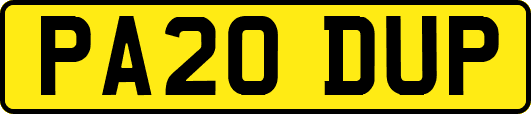 PA20DUP