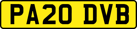 PA20DVB