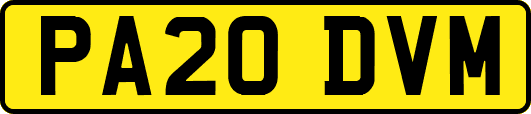 PA20DVM
